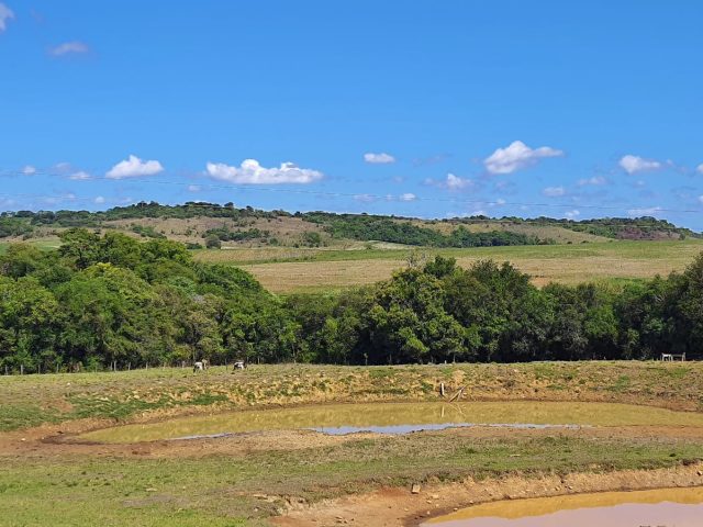 Semana inicia com sol e temperatura amena no RS