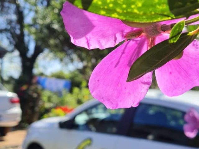RS terá segunda-feira com temperaturas ainda frias para época do ano