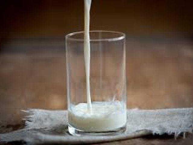 Governo gaúcho altera regras para concessão de benefício fiscal a empresas do setor leiteiro