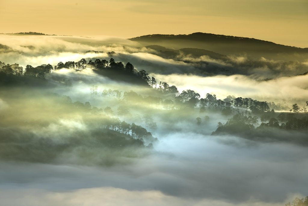 Inverno será menos rigoroso e mais úmido no Estado