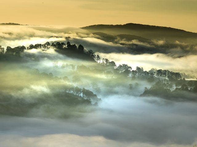 Inverno será menos rigoroso e mais úmido no Estado