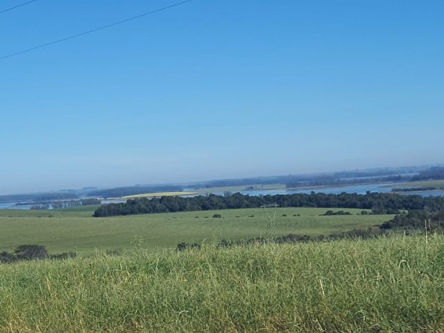 Sol predomina no RS, com tarde quente nesta quarta