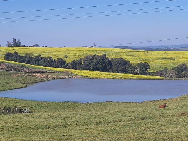 Rio Grande do Sul viverá verão e inverno no mesmo dia nesta quinta-feira