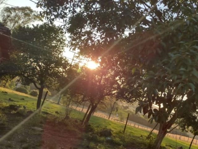 Terça-feira será de sol e calor no Rio Grande do Sul