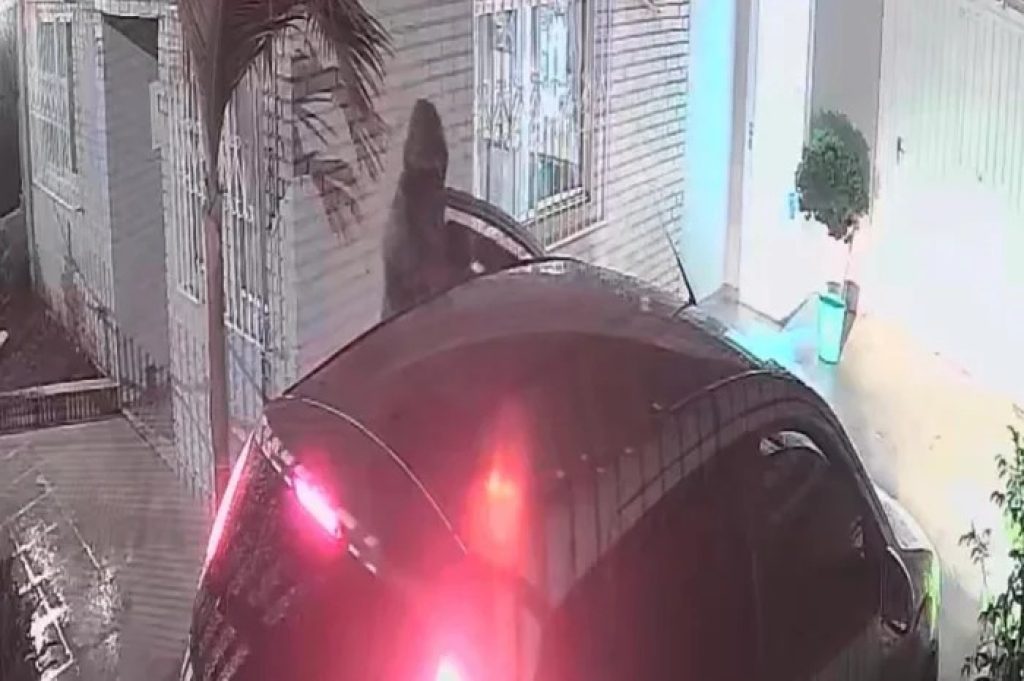 Homem é indiciado por mandar matar ex-companheira em Soledade