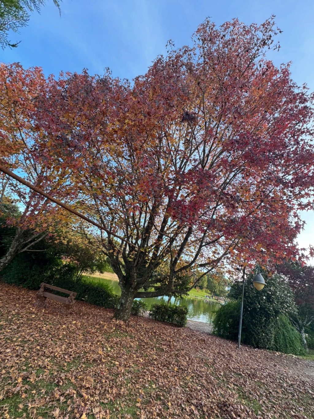 Sol predomina e temperaturas sobem nesta quarta-feira