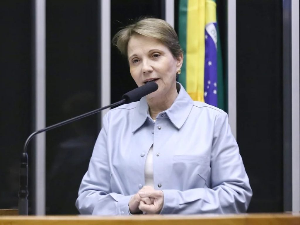 Tereza Cristina cobra sensibilidade do governo para renegociação das dívidas rurais
