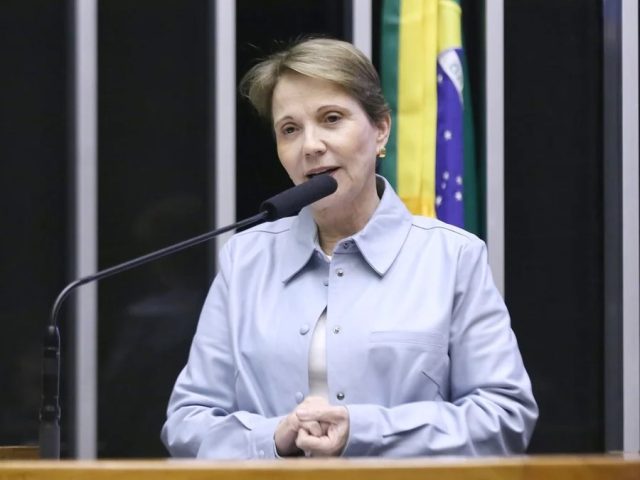 Tereza Cristina cobra sensibilidade do governo para renegociação das dívidas rurais