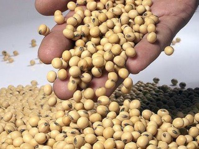 Exportações do RS têm queda de 20% em maio em razão do preço baixo da soja
