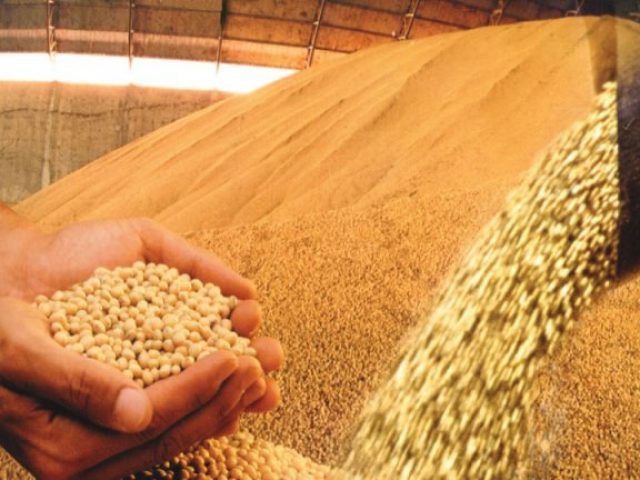 Aumenta demanda de farelo de soja no Brasil