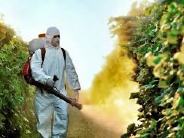 Regulamentação de agrotóxicos é retrocesso, afirma pesquisador