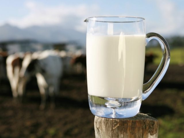 Preço do leite padrão deve ter aumento de 11,15% em julho