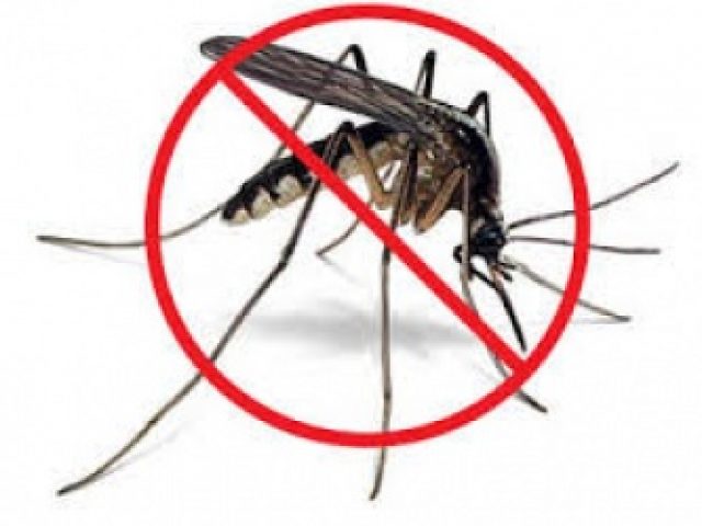 Primeiro caso de febre chikungunya é registrado em Ibirubá