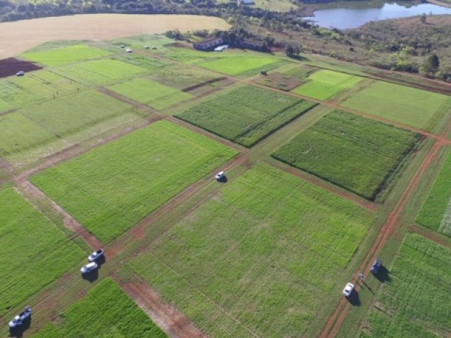 Área experimental da Unicruz ganha forma e é preparada para o Dia de Campo